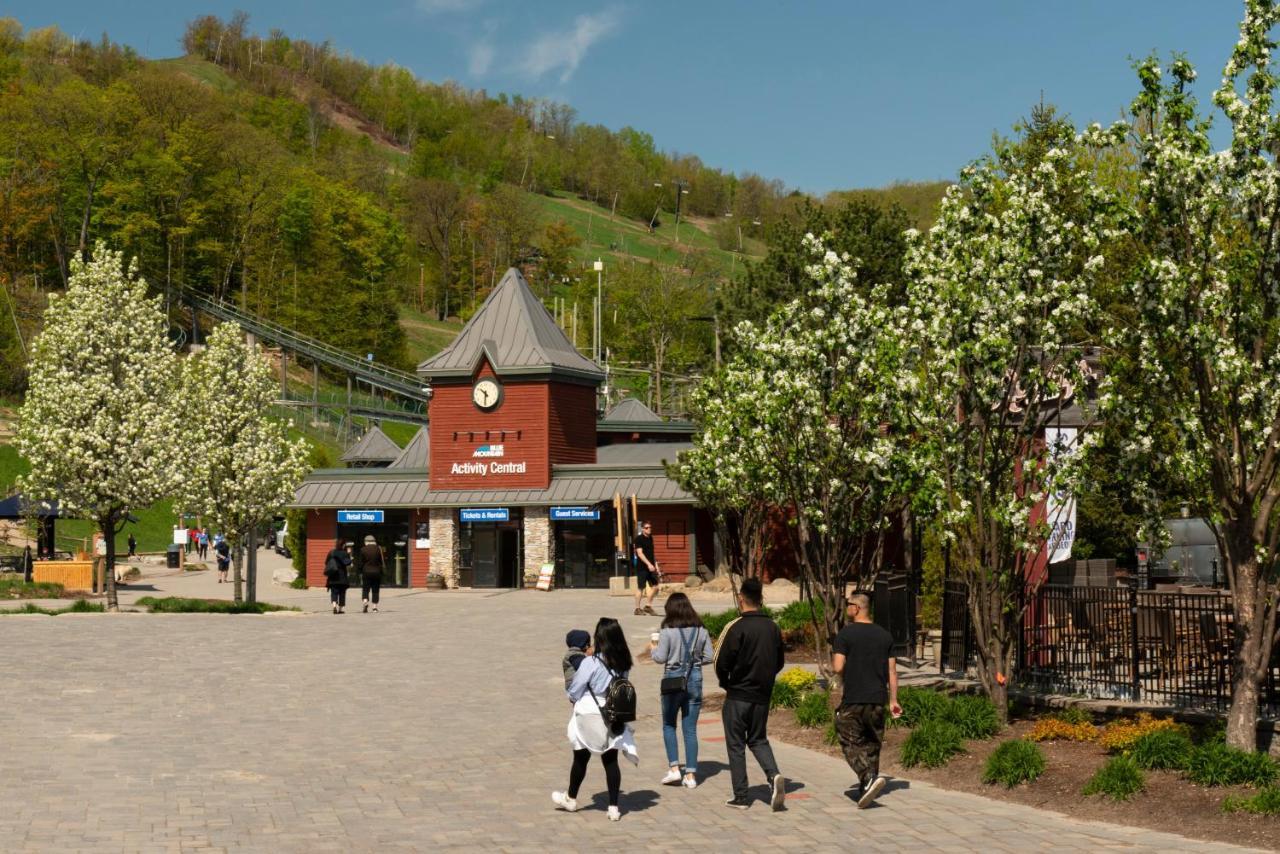 Blue Mountain Collection Hotel